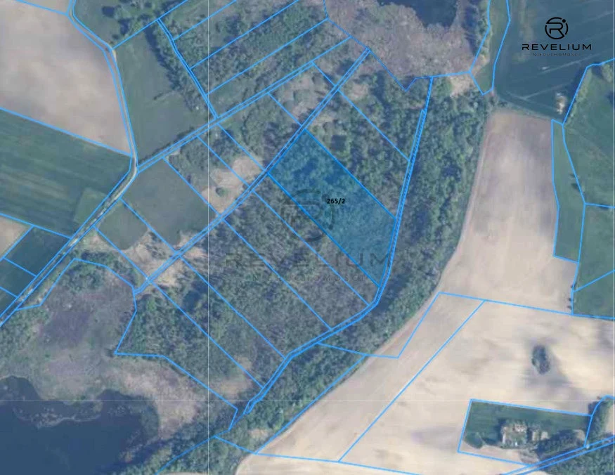 Działka, na sprzedaż, Piastoszyn, Wybudowanie pod Ciechocin, 23,800 m2 - rzut